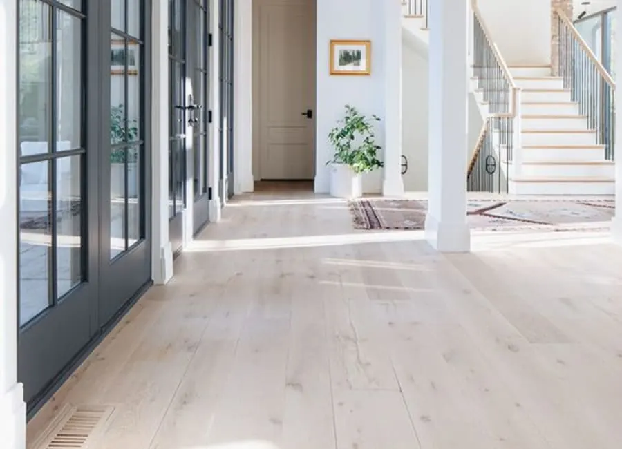 Bright open entry with wide-plank wood flooring